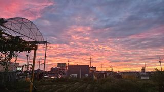 송석원님의 자유주제 · 사진전 작성글 사진