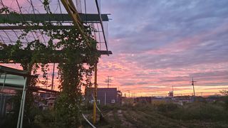 송석원님의 자유주제 · 사진전 작성글 사진