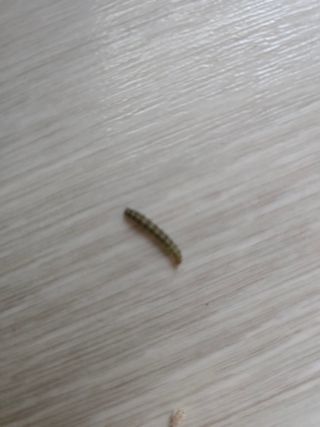 藝園님의 작성글 사진
