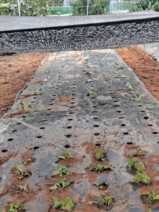 귀농 4년/지성훈님의 자유주제 · 자유게시판 작성글 사진