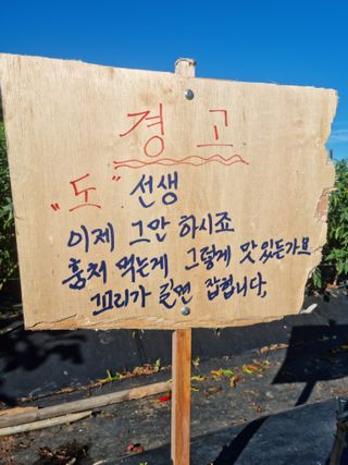 류수천님의 자유주제 · 자유게시판 작성글 사진