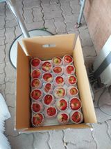 팜모닝 · 게시글 이미지