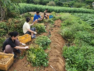 강촌지기님의 자유주제 · 자유게시판 작성글 사진