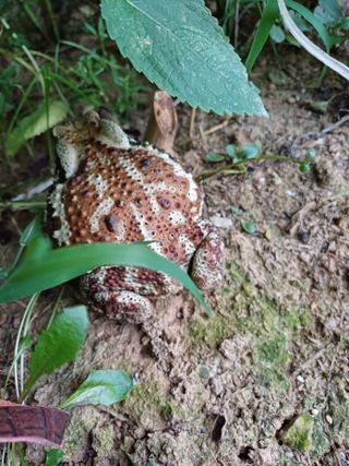 정창교님의 한가위, 덕담을 나눠주세요 · 참여글 작성글 사진