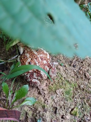 정창교님의 한가위, 덕담을 나눠주세요 · 참여글 작성글 사진