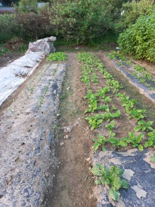 시아님의 자유주제 · 자유게시판 작성글 사진