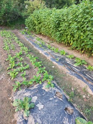 시아님의 자유주제 · 자유게시판 작성글 사진