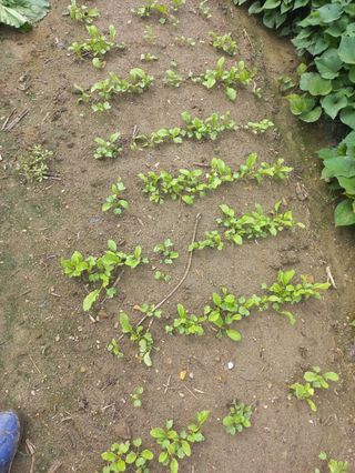 시아님의 자유주제 · 자유게시판 작성글 사진