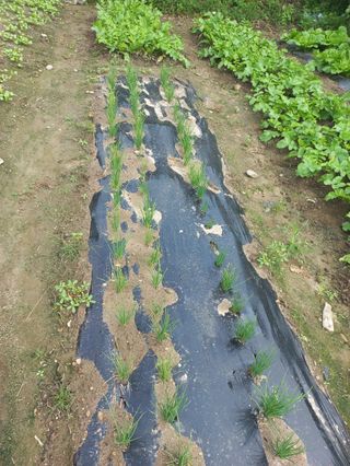 시아님의 자유주제 · 자유게시판 작성글 사진