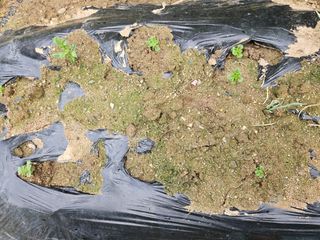 조정숙(1955)님의 자유주제 · 건의해요 작성글 사진