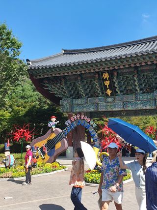 작은소나무님의 자유주제 · 자유게시판 작성글 사진