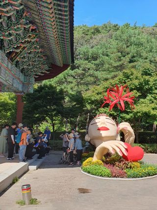 작은소나무님의 자유주제 · 자유게시판 작성글 사진