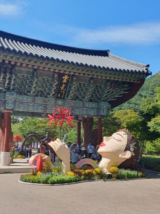 작은소나무님의 자유주제 · 자유게시판 작성글 사진