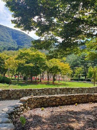 작은소나무님의 자유주제 · 자유게시판 작성글 사진