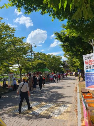 작은소나무님의 자유주제 · 자유게시판 작성글 사진