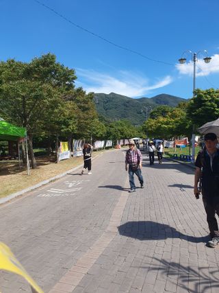 작은소나무님의 자유주제 · 자유게시판 작성글 사진