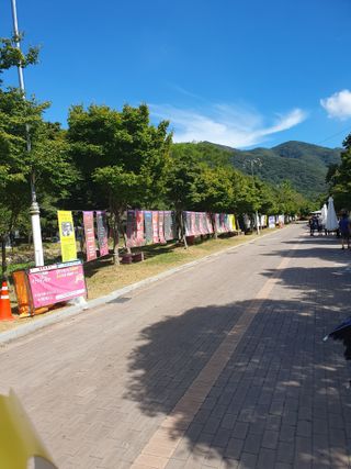 작은소나무님의 자유주제 · 자유게시판 작성글 사진