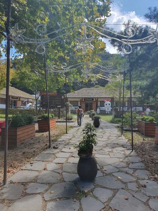 작은소나무님의 자유주제 · 자유게시판 작성글 사진