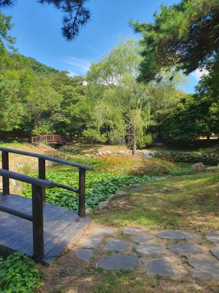 작은소나무님의 자유주제 · 자유게시판 작성글 사진