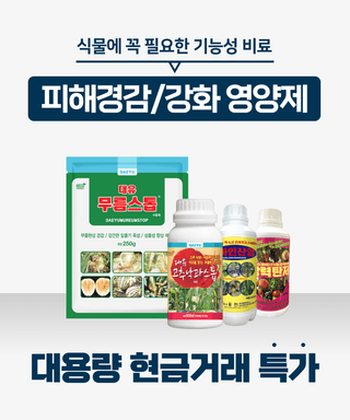 팜자재 대량특가님의 고구마 · 자유게시판 작성글 사진