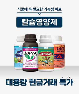 팜자재 대량특가님의 고구마 · 자유게시판 작성글 사진