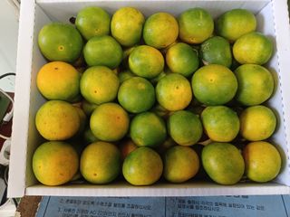 문윤자님의 작성글 사진