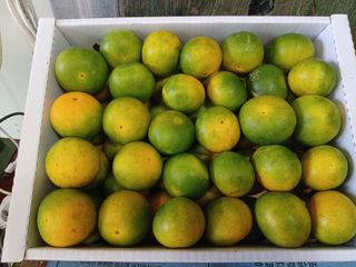 문윤자님의 작성글 사진