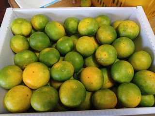 문윤자님의 작성글 사진