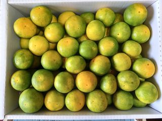 문윤자님의 작성글 사진