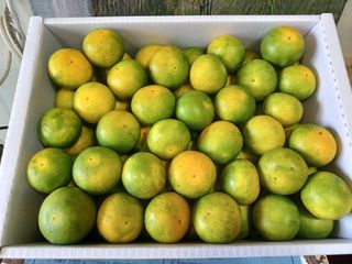 문윤자님의 작성글 사진