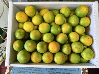 문윤자님의 작성글 사진