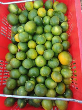 문윤자님의 작성글 사진