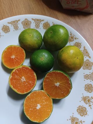 문윤자님의 작성글 사진