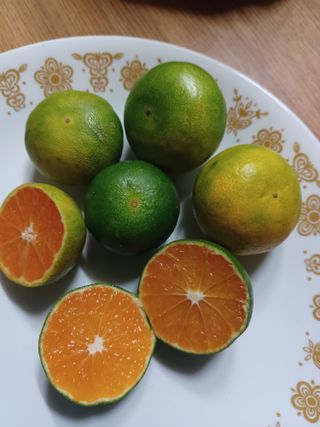 문윤자님의 작성글 사진