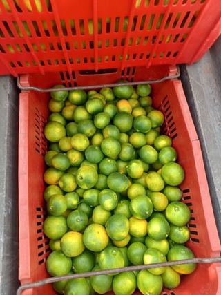 문윤자님의 작성글 사진