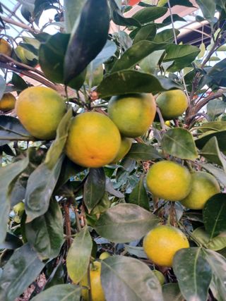 문윤자님의 작성글 사진