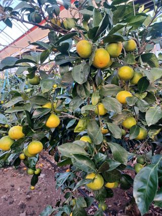 문윤자님의 작성글 사진