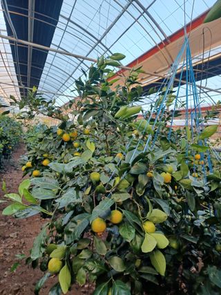 문윤자님의 작성글 사진