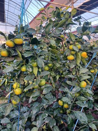 문윤자님의 작성글 사진