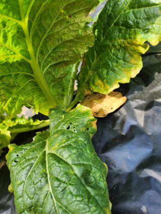 풀빛정원님의 자유주제 · 자유게시판 작성글 사진