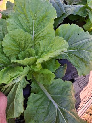 마도님의 자유주제 · 자유게시판 작성글 사진