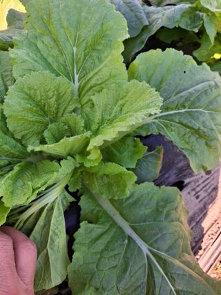 마도님의 자유주제 · 자유게시판 작성글 사진