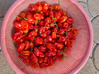 마도님의 자유주제 · 자유게시판 작성글 사진