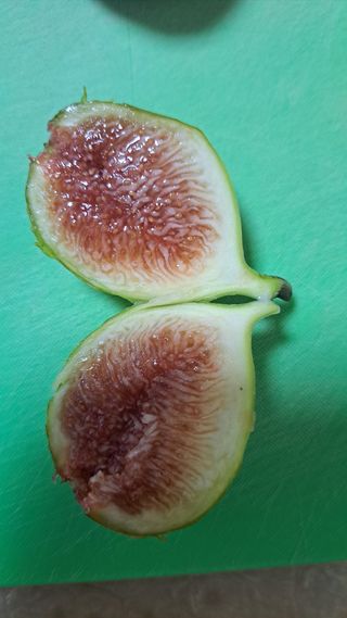 주윤발이님의 기타작물 · 영농일지 작성글 사진