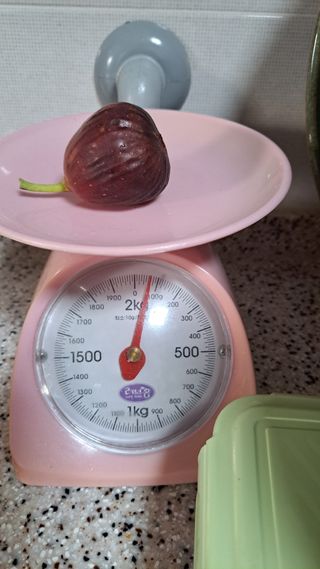 주윤발이님의 기타작물 · 영농일지 작성글 사진