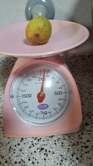 주윤발이님의 기타작물 · 영농일지 작성글 사진