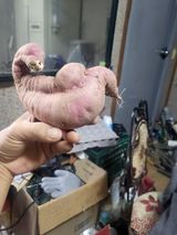 팜모닝 자유주제·자유게시판 게시글 이미지