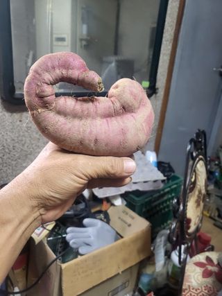 고구마고추참깨들깨님의 자유주제 · 자유게시판 작성글 사진