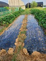 팜모닝 자유주제·자유게시판 게시글 이미지