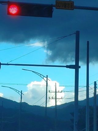 숲속의사나이님의 자유주제 · 자유게시판 작성글 사진